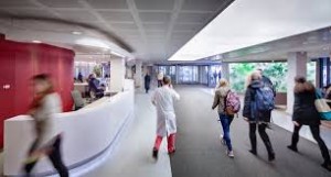 ΑΔΕΙΕΣ ΑΣΚΗΣΕΩΣ ΕΠΑΓΓΕΛΜΑΤΟΣ ΙΑΤΡΙΚΗΣ ΑΠΟ ΡΟΥΜΑΝΙΑ